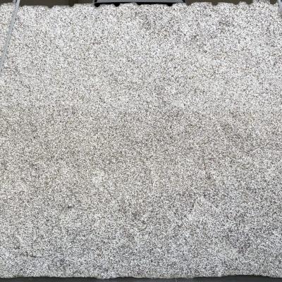 Albero Aloia 1920x1056