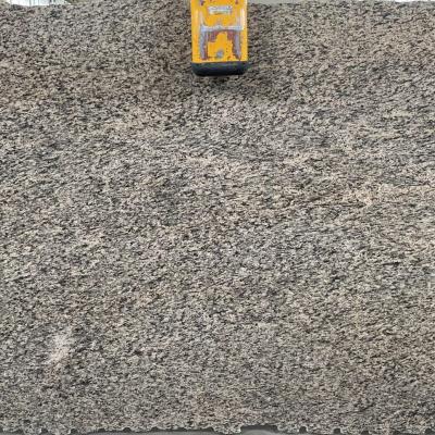 Giallo Boreale 1 1920x1037